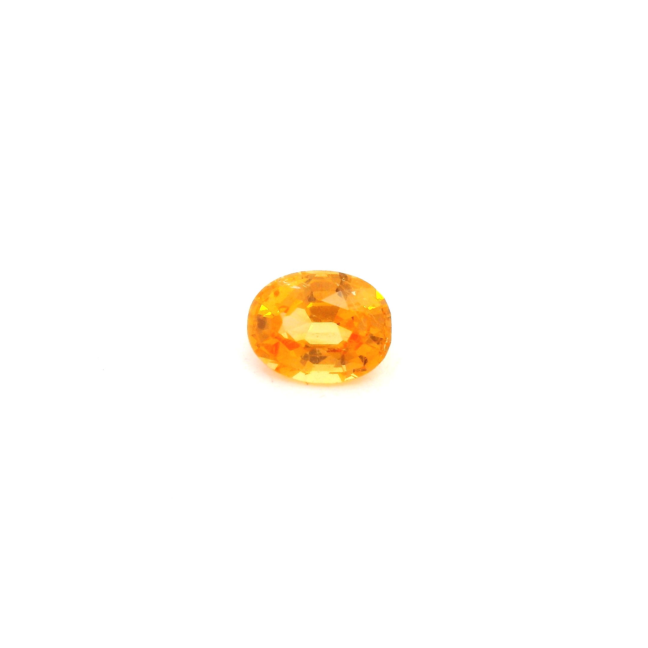 0.84ct GARNET