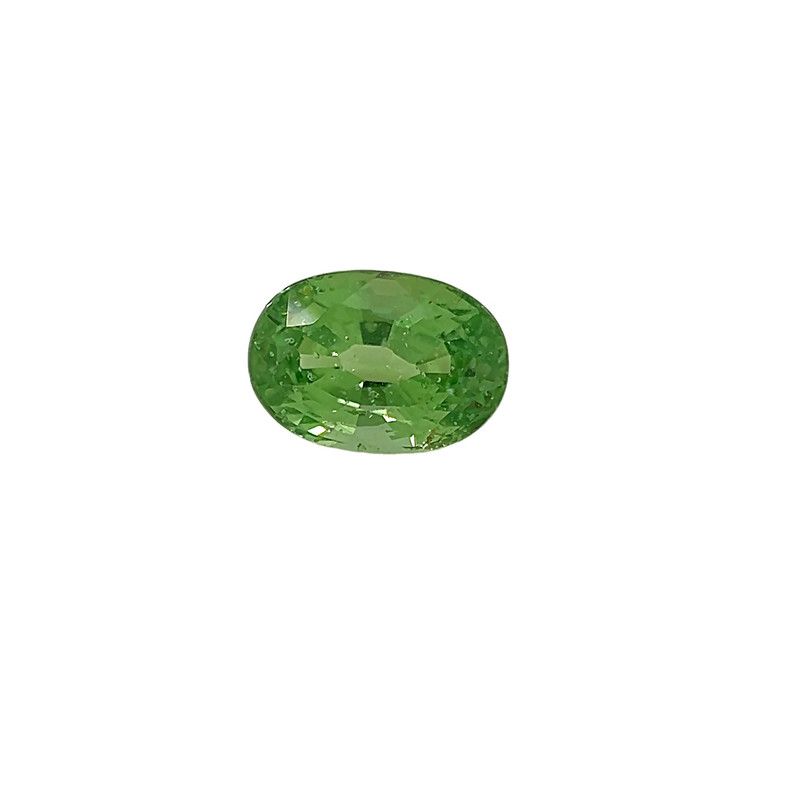 1.09ct GARNET