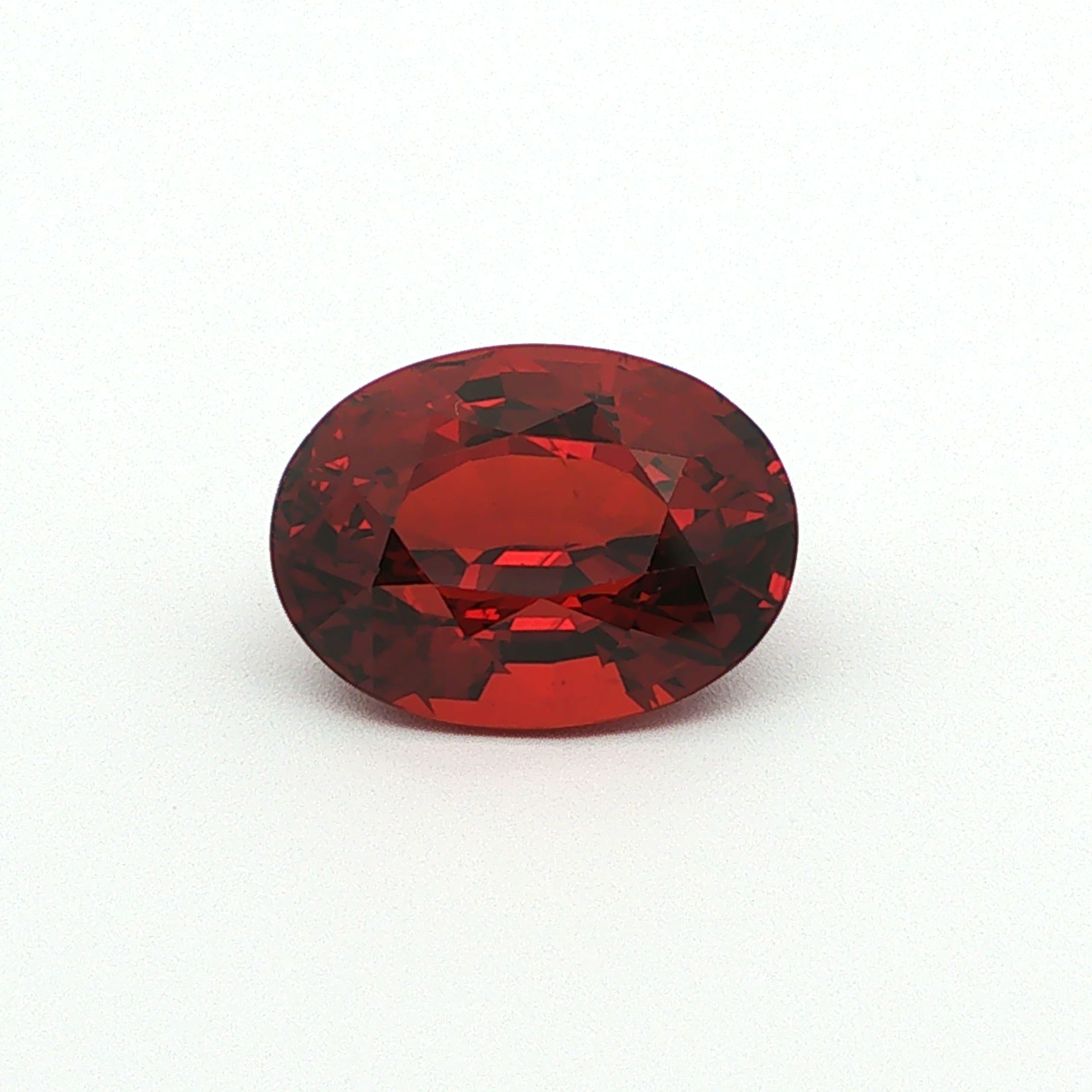 9.65ct Garnet
