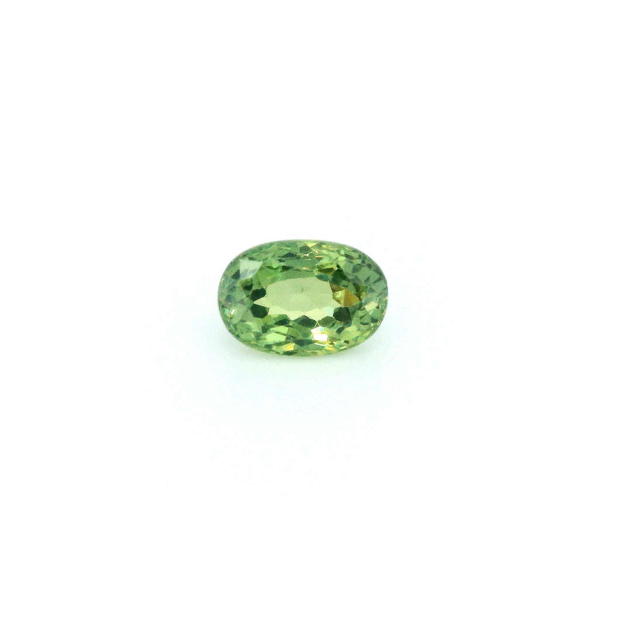 0.99ct GARNET