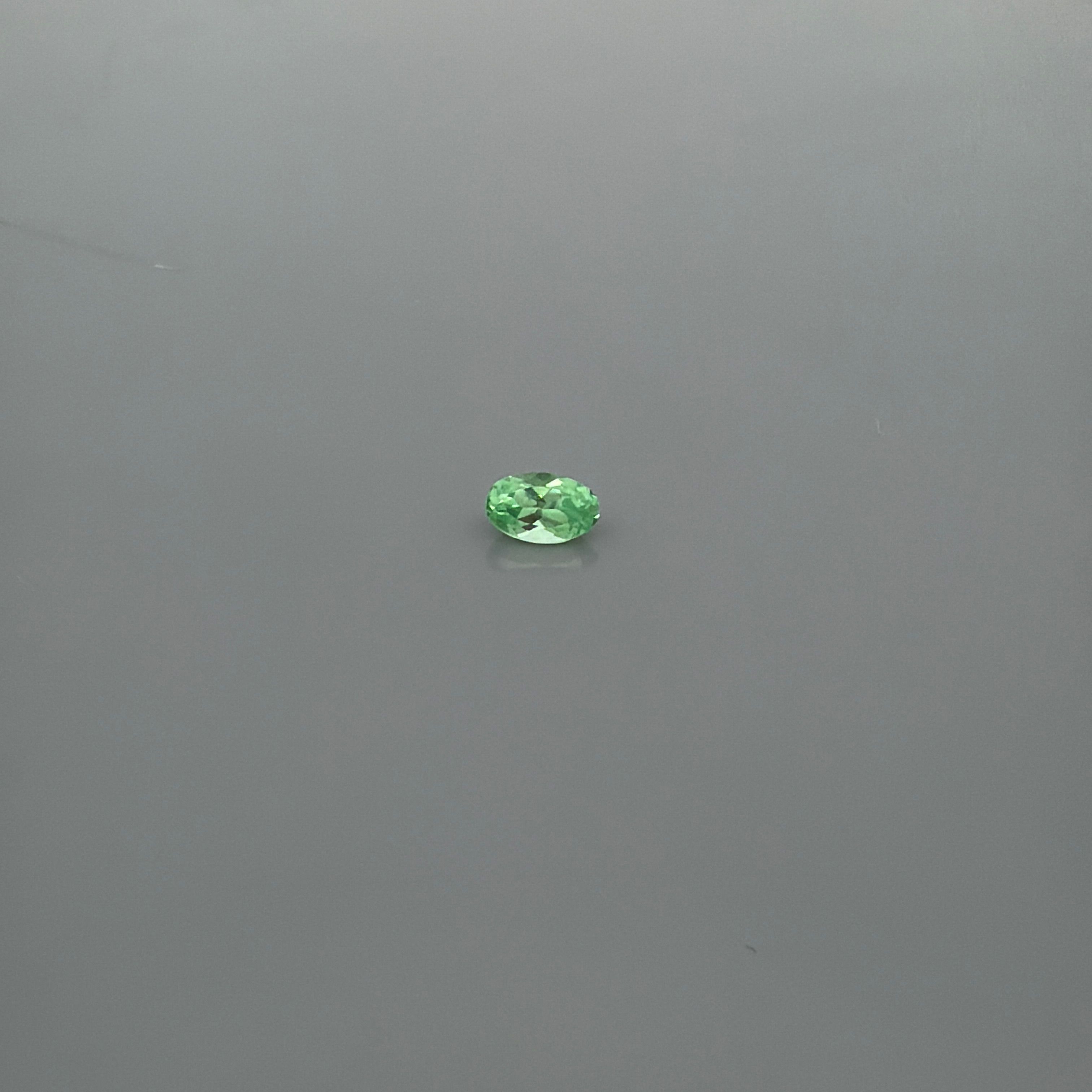 GSI 0.34 Carat Oval Garnet