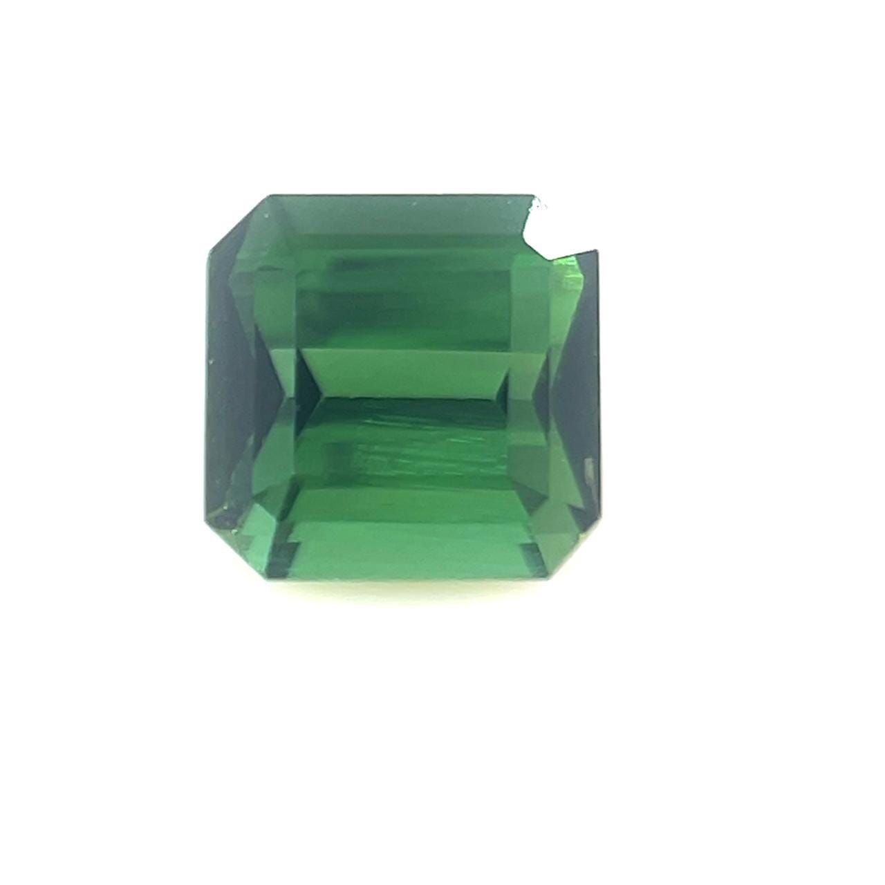 0.89ct TOURMALINE