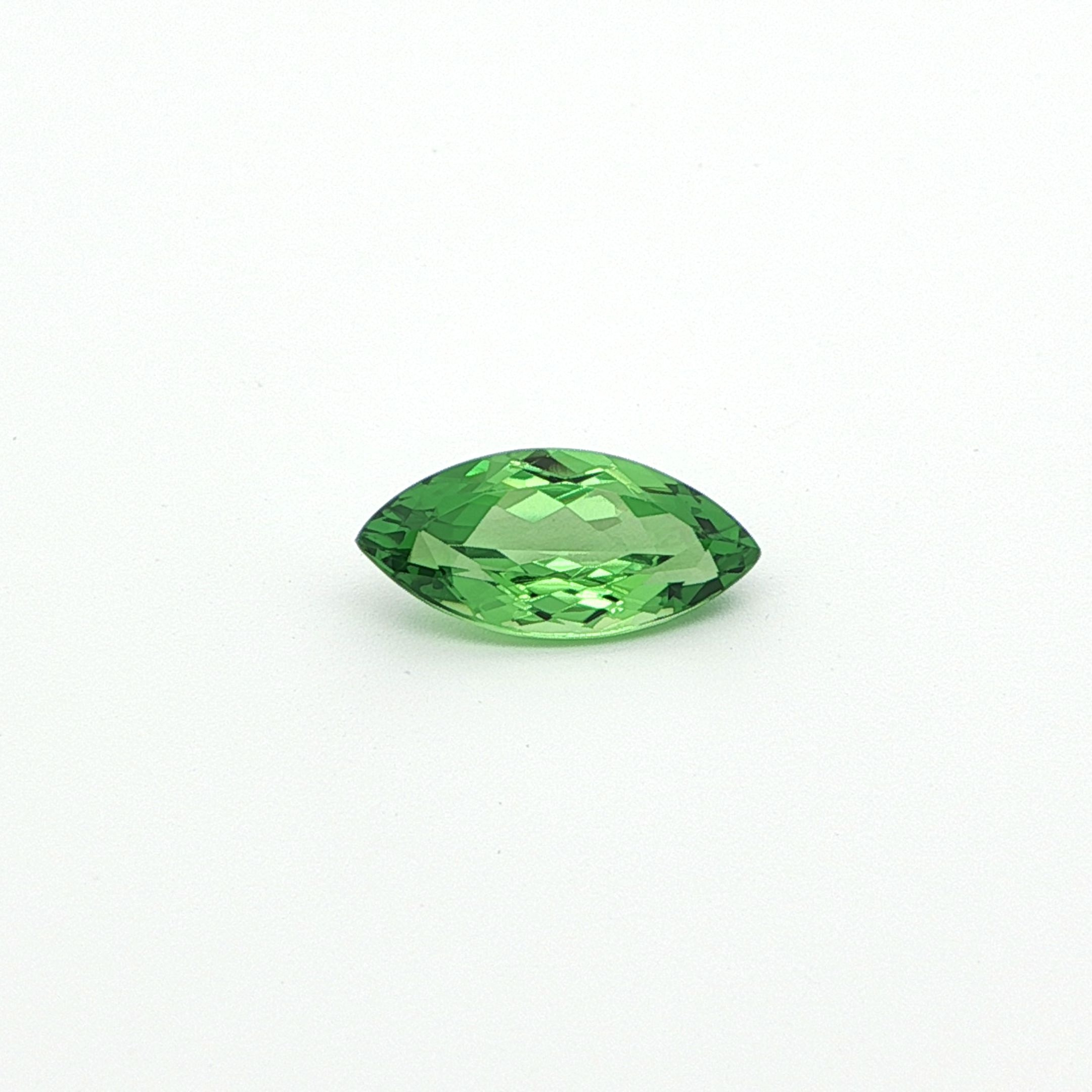 2.7ct Garnet